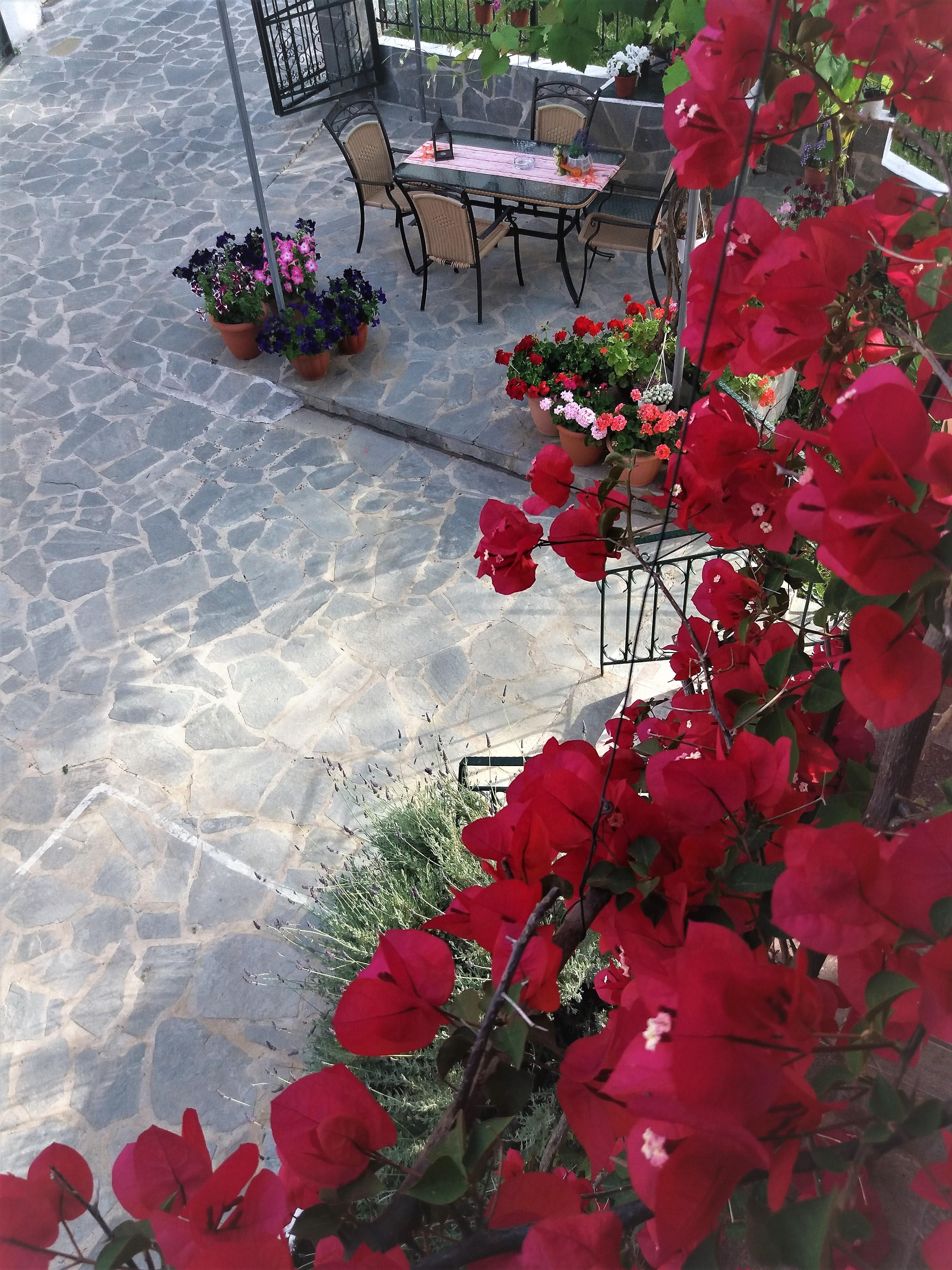 דאסיה Ziogas Luxury Apartments מראה חיצוני תמונה