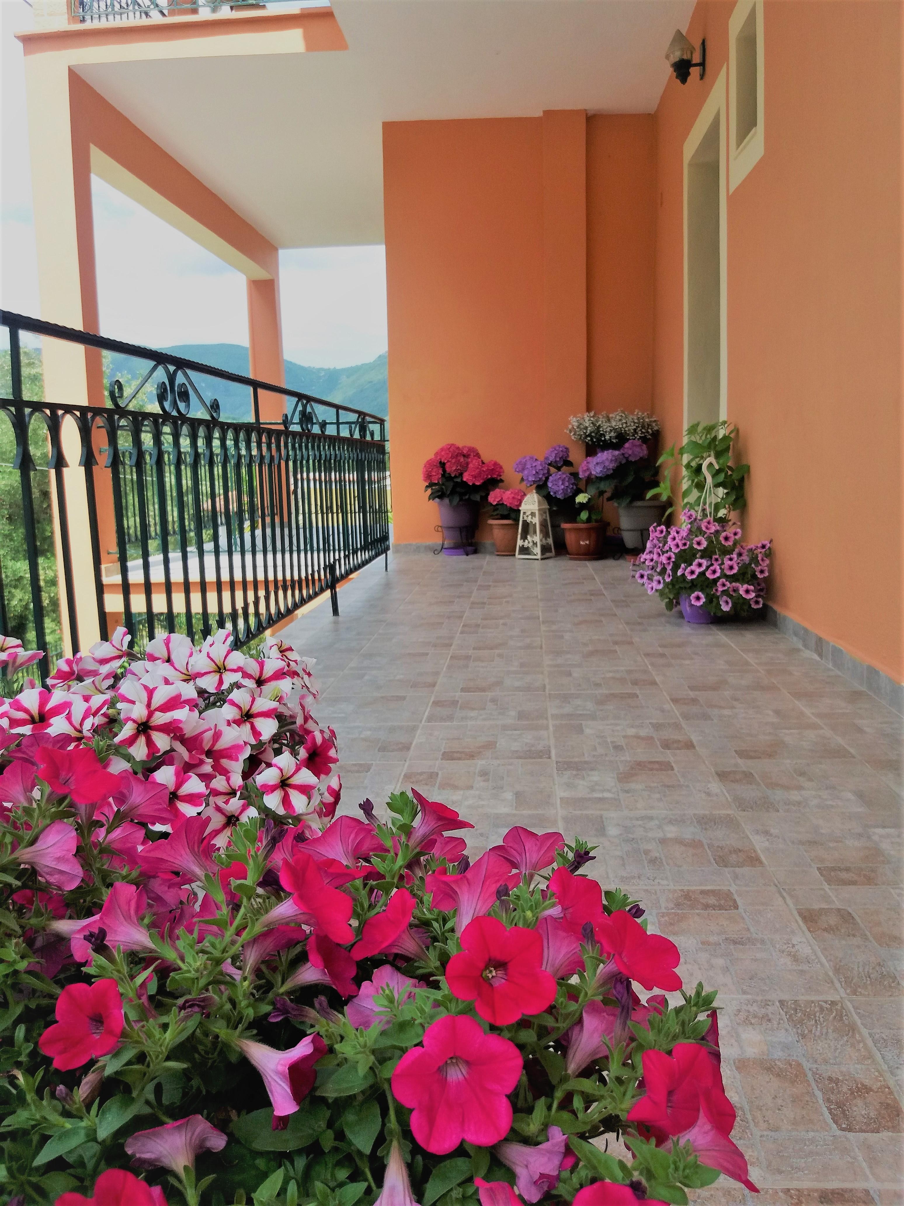 דאסיה Ziogas Luxury Apartments מראה חיצוני תמונה