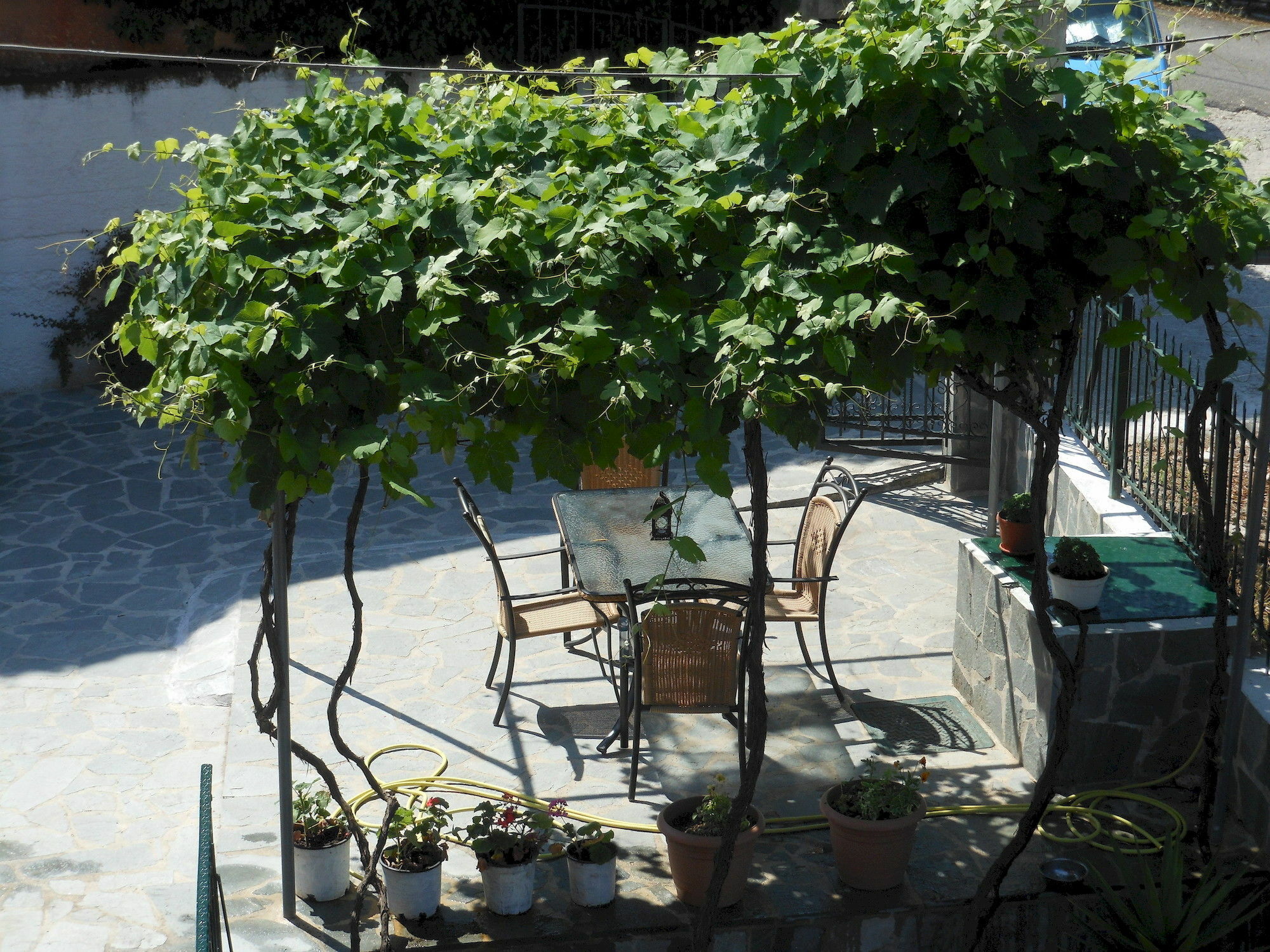 דאסיה Ziogas Luxury Apartments מראה חיצוני תמונה