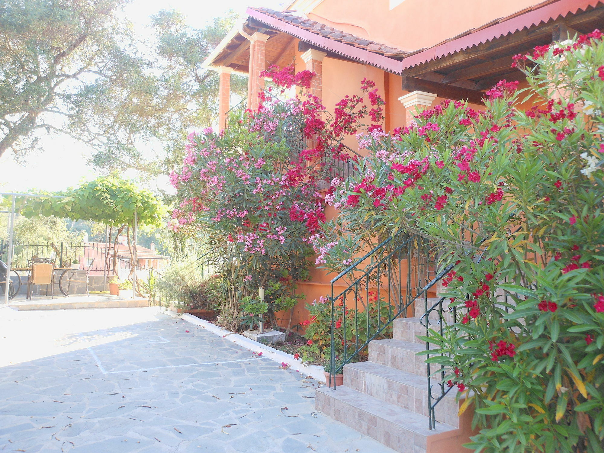 דאסיה Ziogas Luxury Apartments מראה חיצוני תמונה